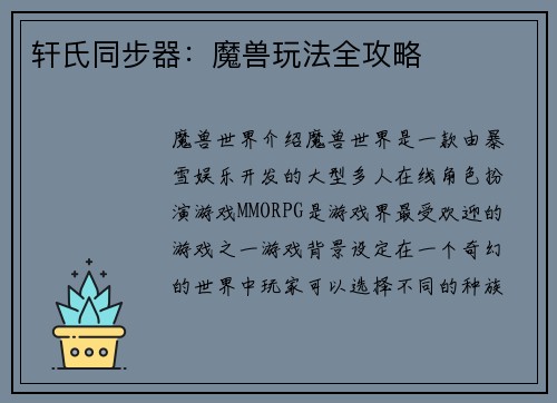 轩氏同步器:魔兽玩法全攻略